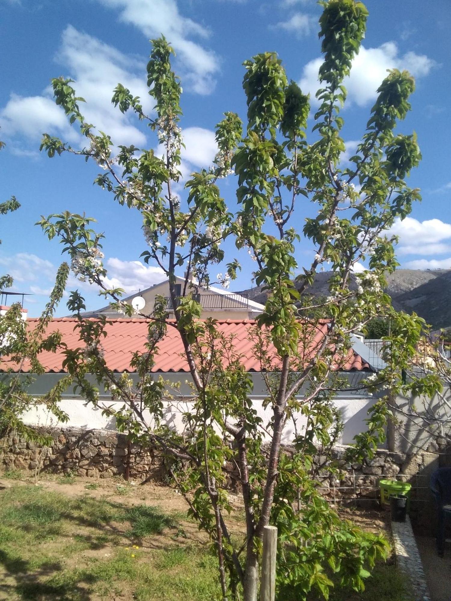 Guesthouse Martina Senj  Exterior photo